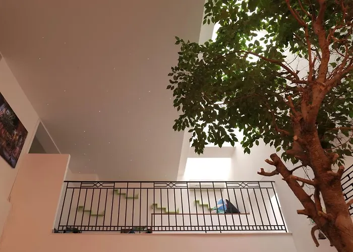 コンドミニアム Old Town